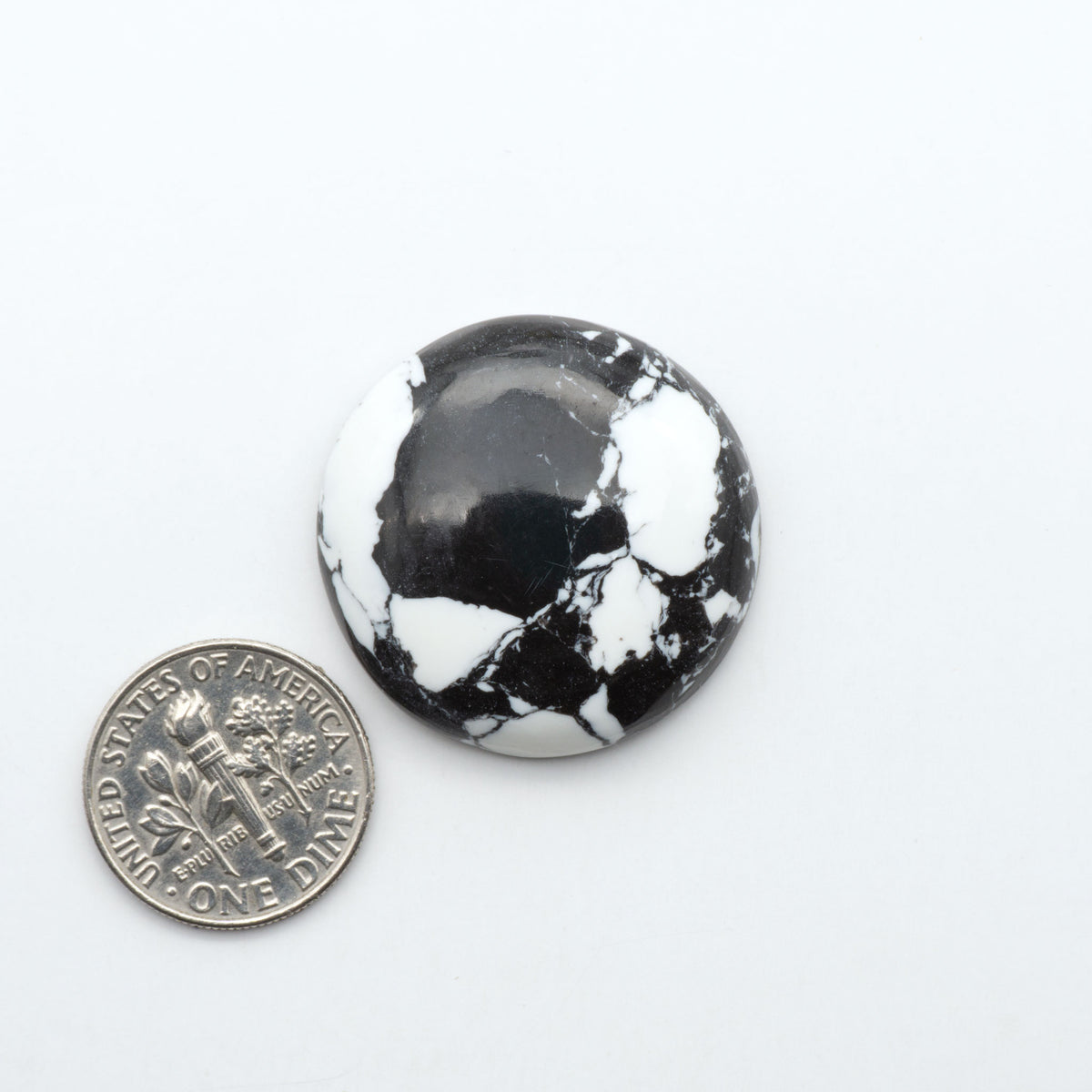 White Buffalo composite cabochons, black and white gemstones on a white background with a US dime for scale