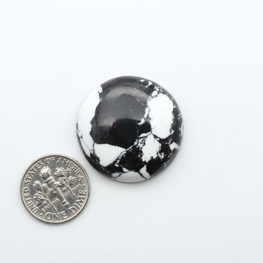 White Buffalo composite cabochons, black and white gemstones on a white background with a US dime for scale