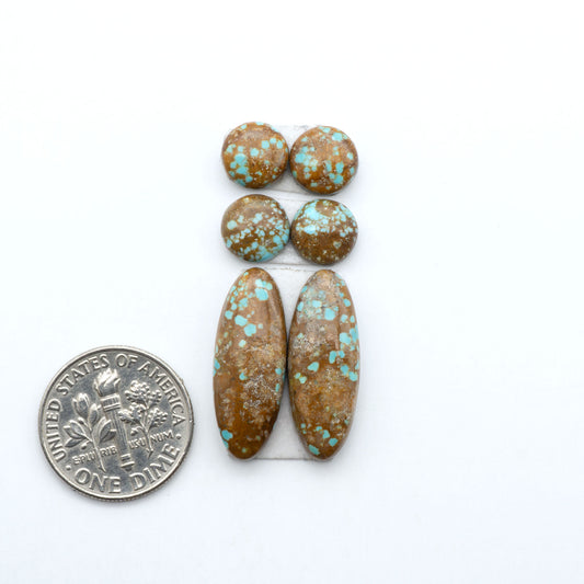 Number 8 Turquoise cabochons, blue and green color with brown matrix, polished stones on a white background, with a US dime for scale