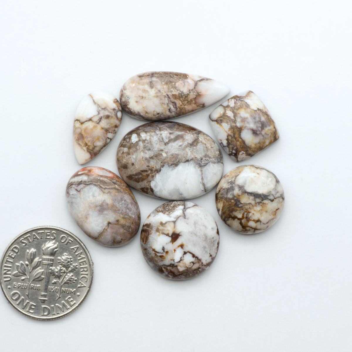 Wild Horse Magnesite cabochons, white gemstones with brown matrix on a white background, with a US dime for scale