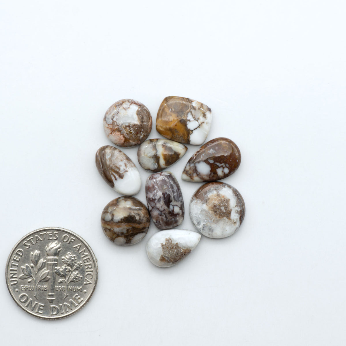 Wild Horse Magnesite cabochons, white gemstones with brown matrix on a white background, with a US dime for scale