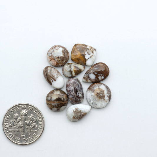 Wild Horse Magnesite cabochons, white gemstones with brown matrix on a white background, with a US dime for scale
