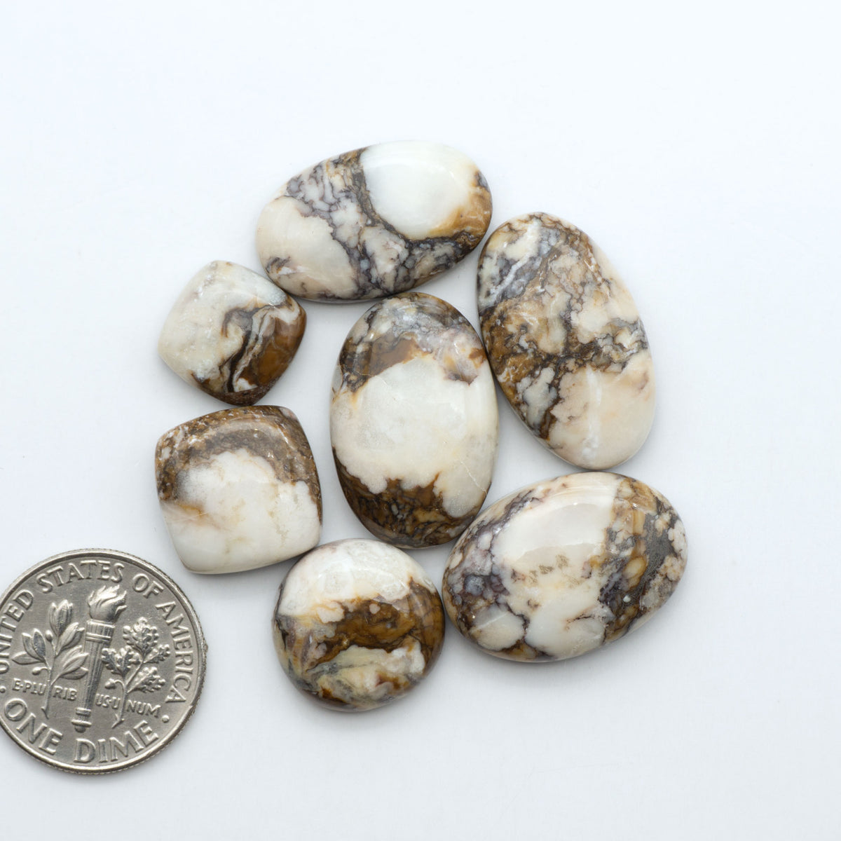 Wild Horse Magnesite cabochons, white gemstones with brown matrix on a white background, with a US dime for scale