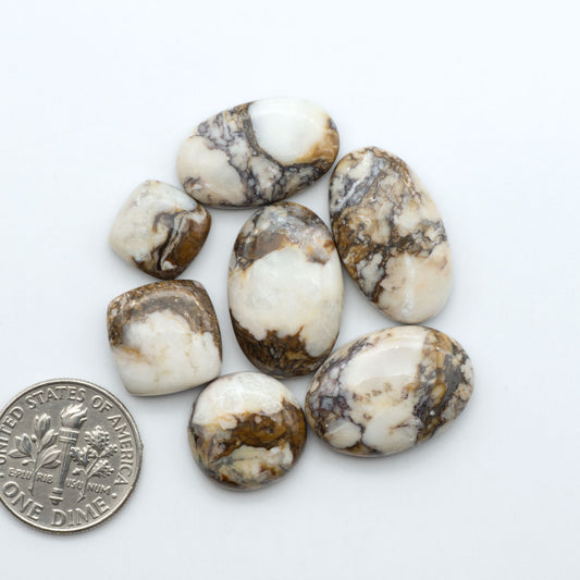 Wild Horse Magnesite cabochons, white gemstones with brown matrix on a white background, with a US dime for scale