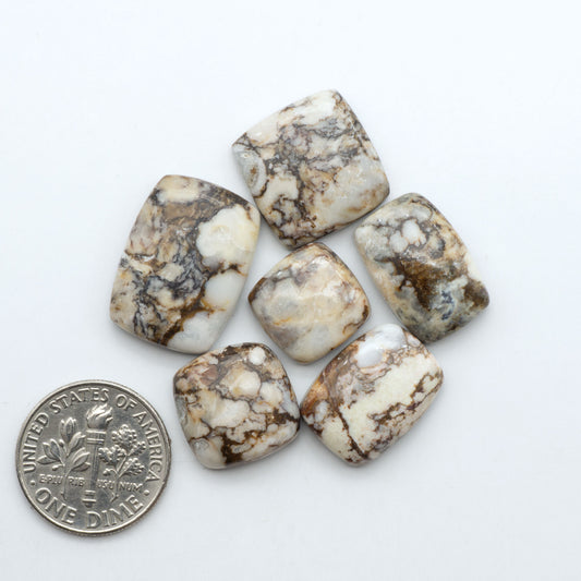 Wild Horse Magnesite cabochons, white gemstones with brown matrix on a white background, with a US dime for scale