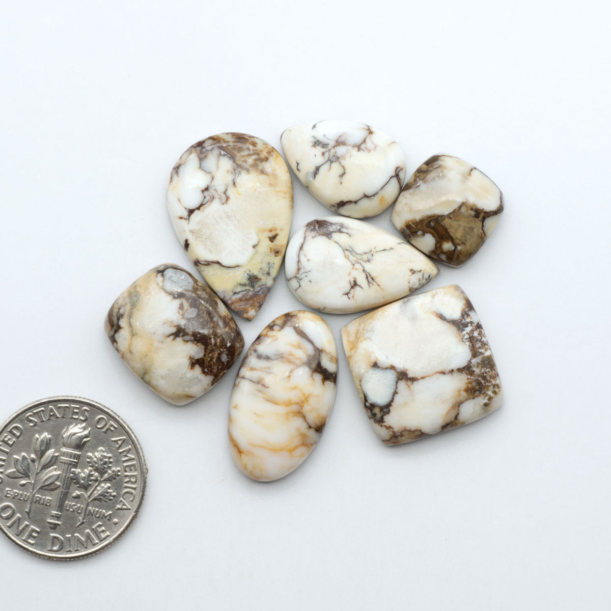 Wild Horse Magnesite cabochons, white gemstones with brown matrix on a white background, with a US dime for scale