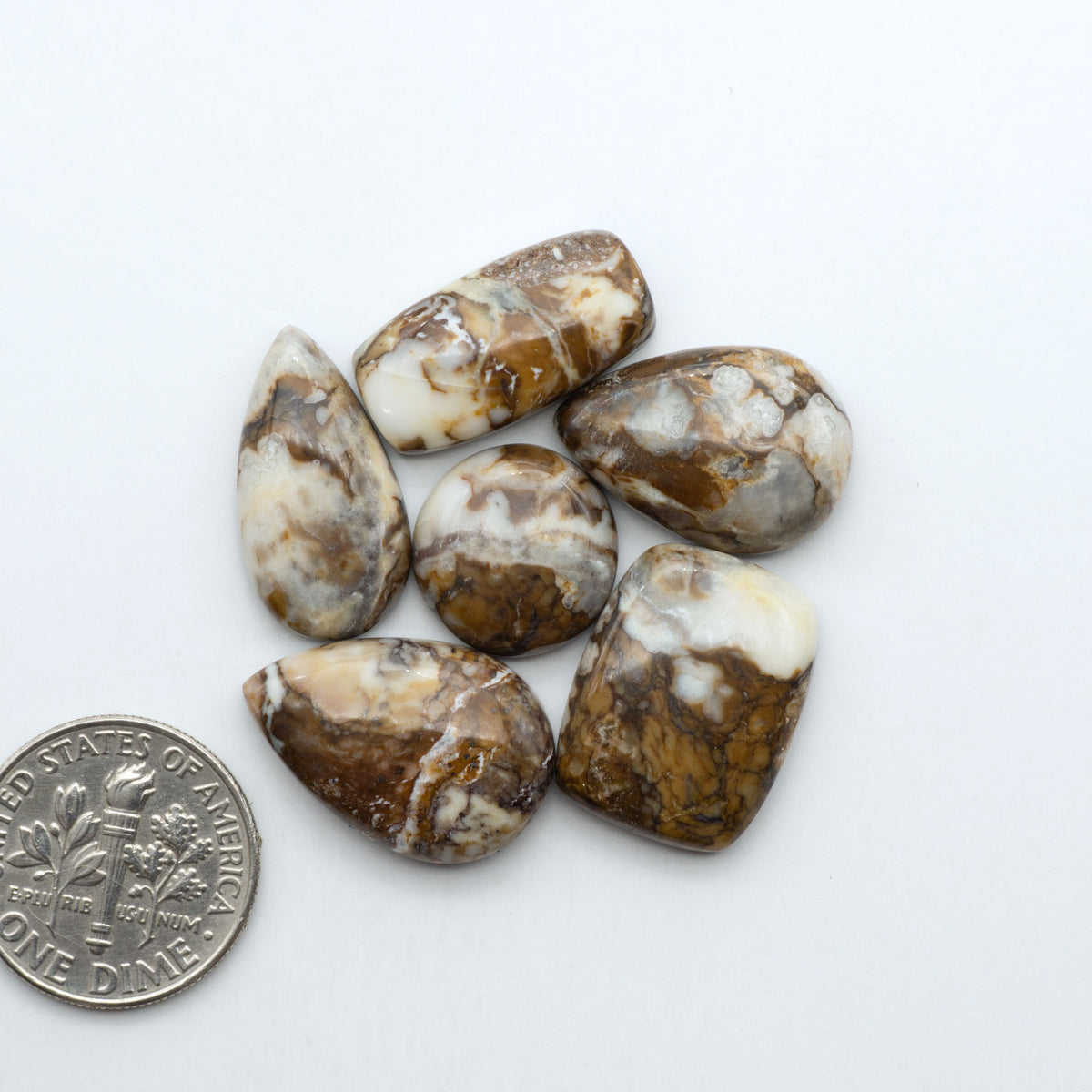 Wild Horse Magnesite cabochons, white gemstones with brown matrix on a white background, with a US dime for scale