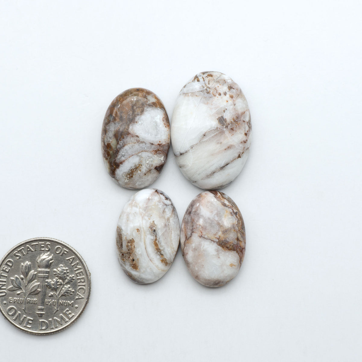 Wild Horse Magnesite cabochons, white gemstones with brown matrix on a white background, with a US dime for scale