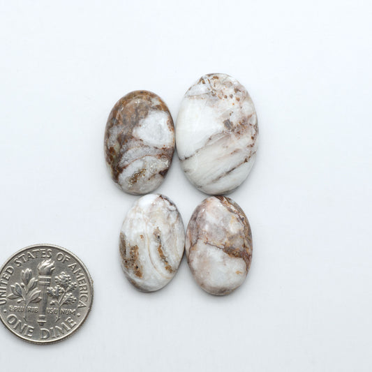 Wild Horse Magnesite cabochons, white gemstones with brown matrix on a white background, with a US dime for scale