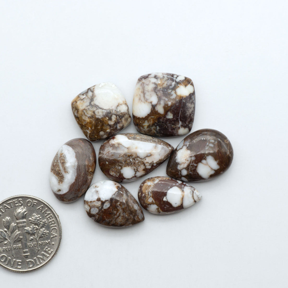Wild Horse Magnesite cabochons, white gemstones with brown matrix on a white background, with a US dime for scale