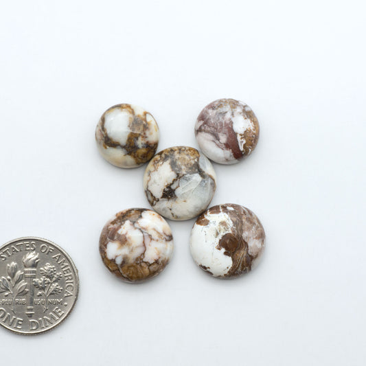 Wild Horse Magnesite cabochons, white gemstones with brown matrix on a white background, with a US dime for scale
