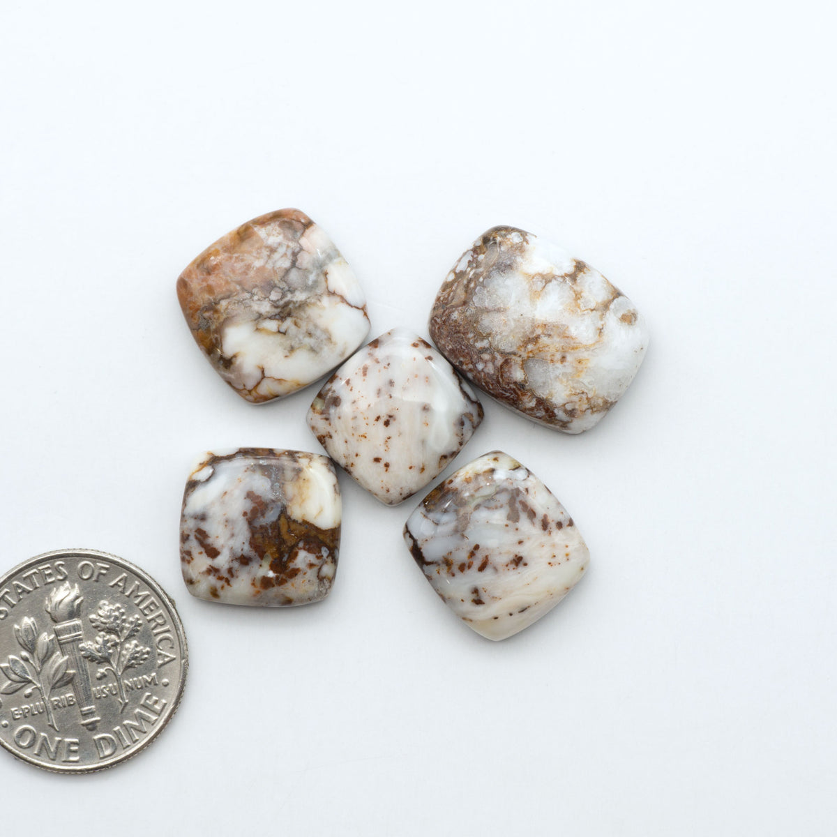 Wild Horse Magnesite cabochons, white gemstones with brown matrix on a white background, with a US dime for scale