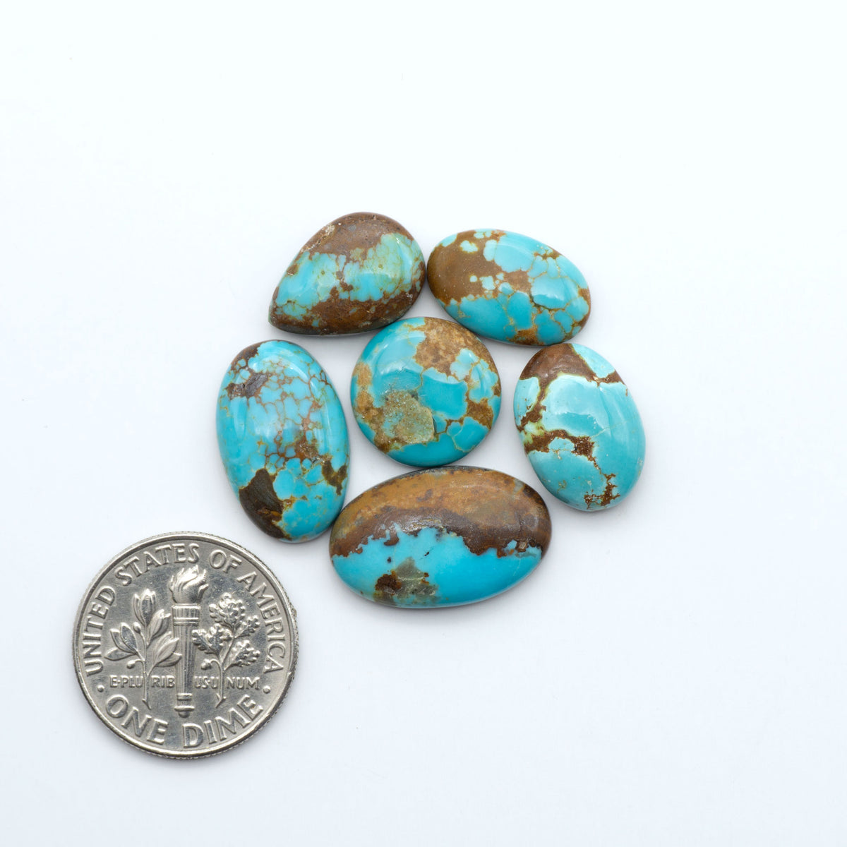 Pilot Mountain Turquoise cabochons, blue-green gemstones with natural matrix on a white background with a US dime for scale