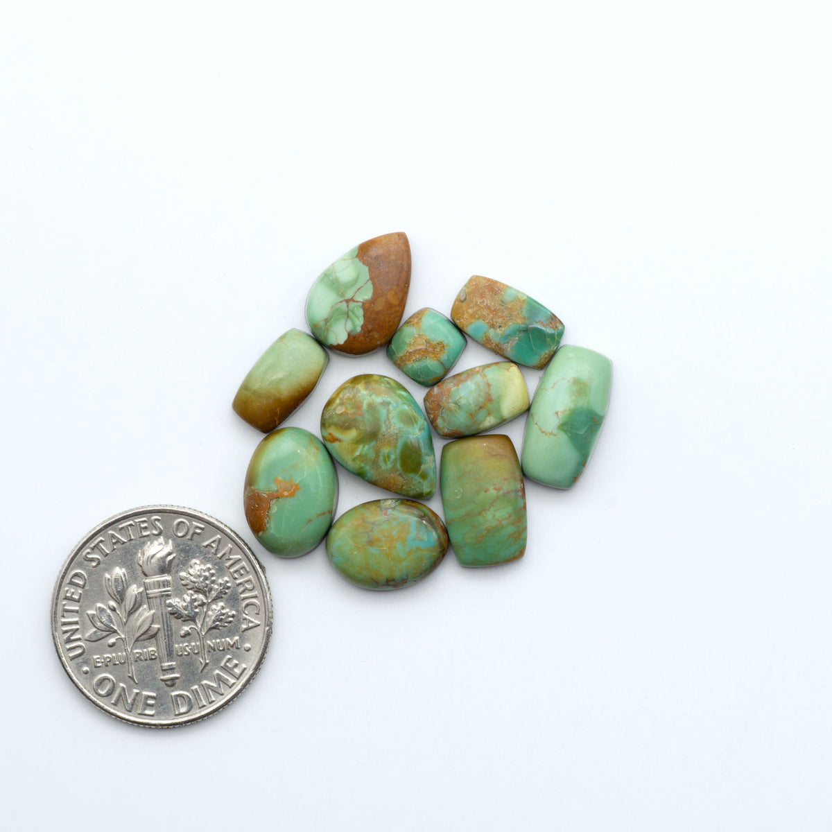 Kings Manassa Turquoise cabochons, polished green-blue gemstones with natural matrix on a white background with a US dime for scale