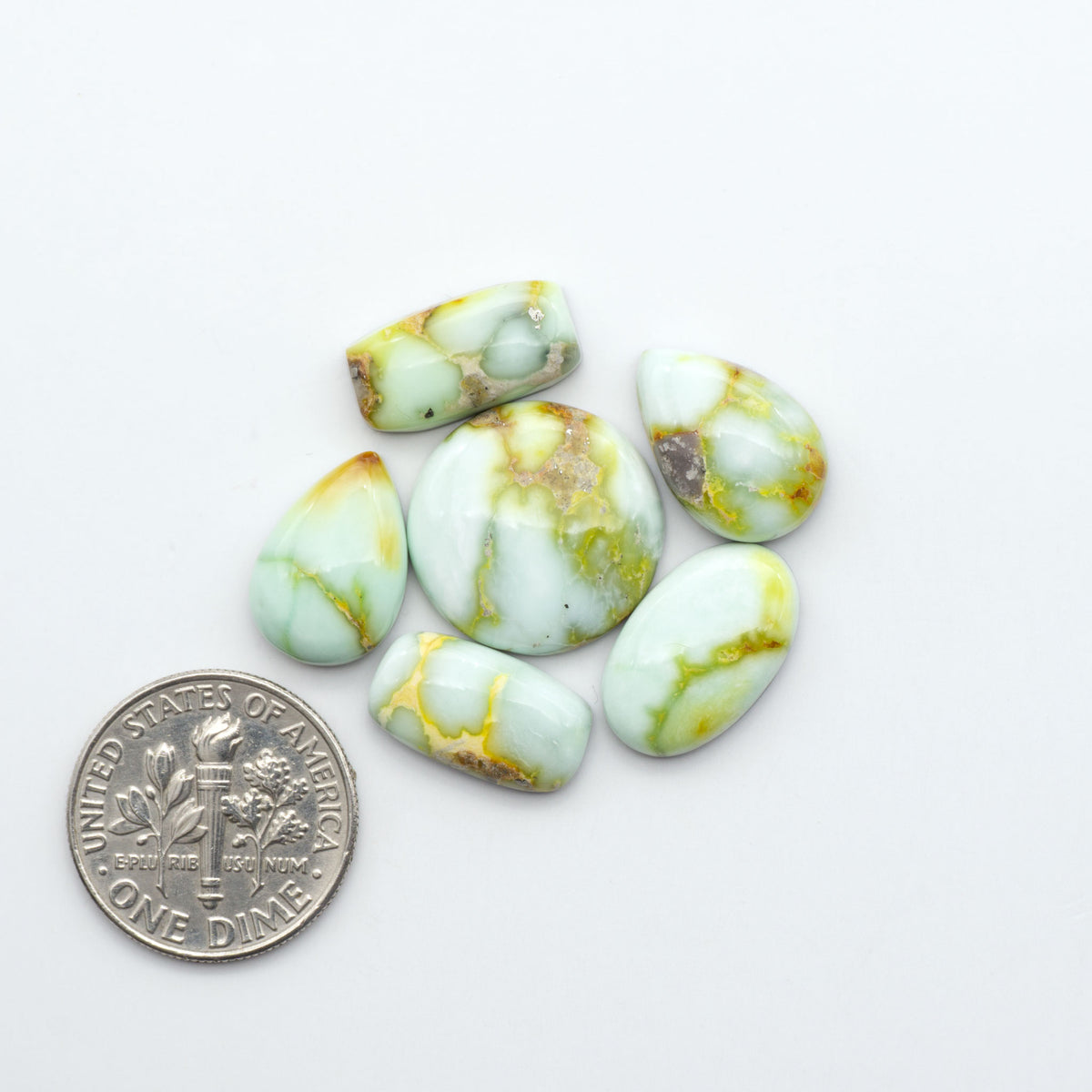 Palomino Variscite cabochons, polished yellow-green gemstones with natural matrix on a white background with a US dime for scale