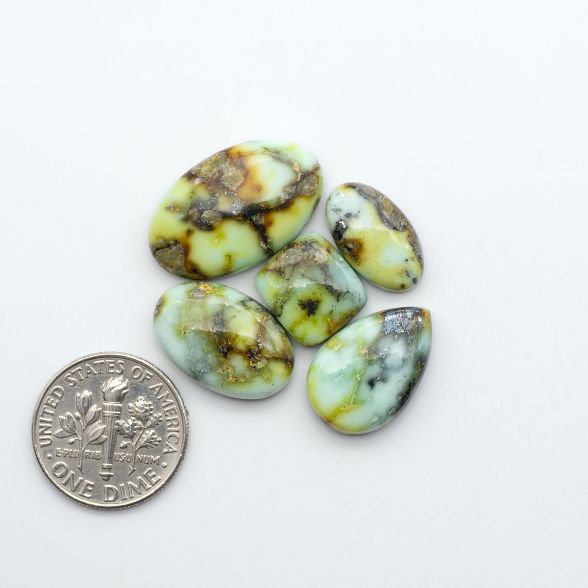 Palomino Variscite cabochons, polished yellow-green gemstones with natural matrix on a white background with a US dime for scale