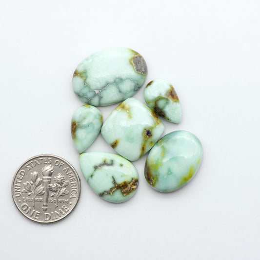 Palomino Variscite cabochons, polished yellow-green gemstones with natural matrix on a white background with a US dime for scale