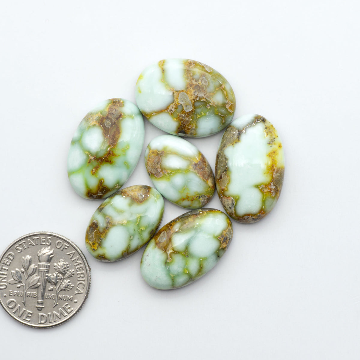 Palomino Variscite cabochons, polished yellow-green gemstones with natural matrix on a white background with a US dime for scale