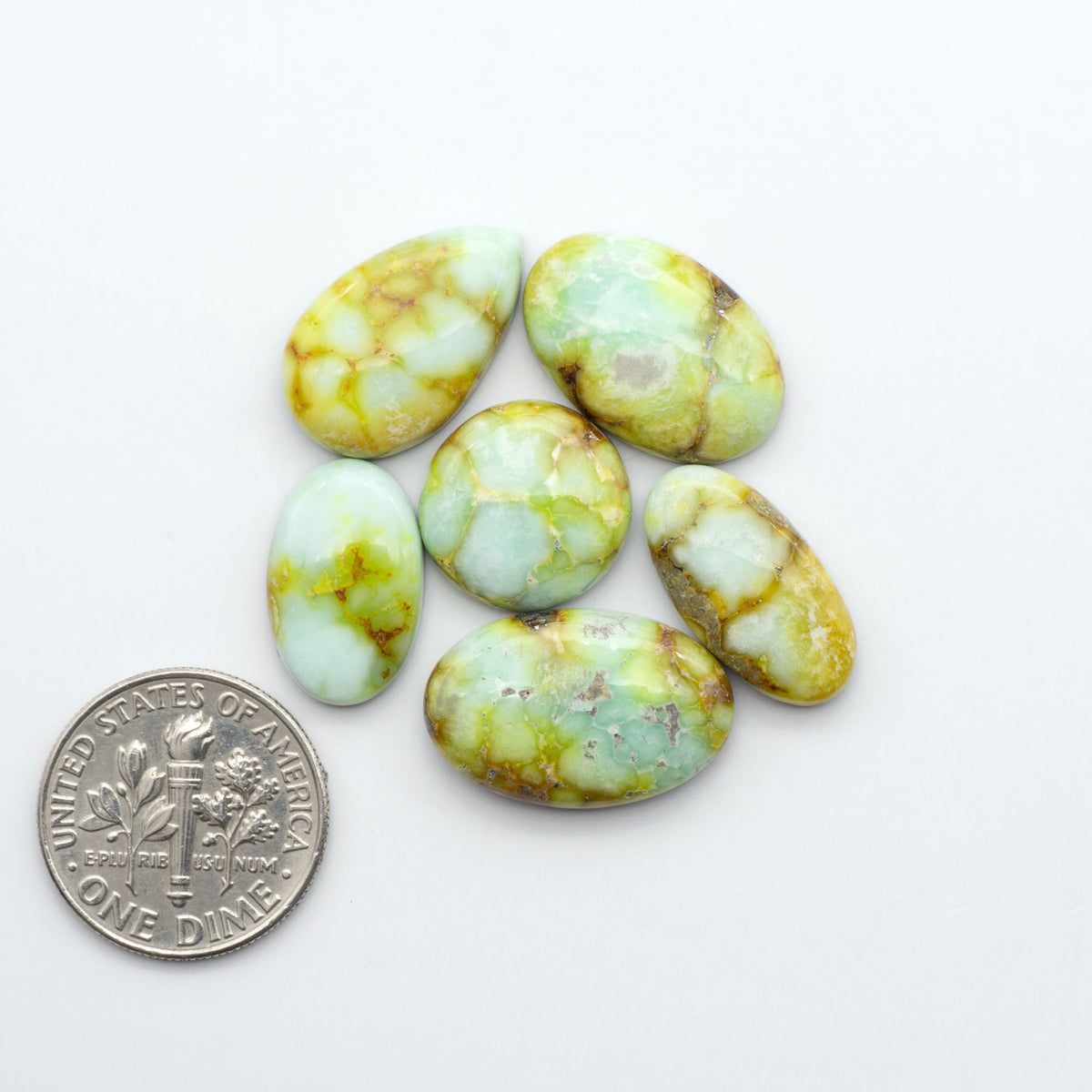 Palomino Variscite cabochons, polished yellow-green gemstones with natural matrix on a white background with a US dime for scale