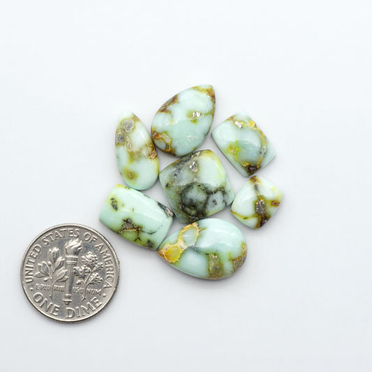 Palomino Variscite cabochons, polished yellow-green gemstones with natural matrix on a white background with a US dime for scale