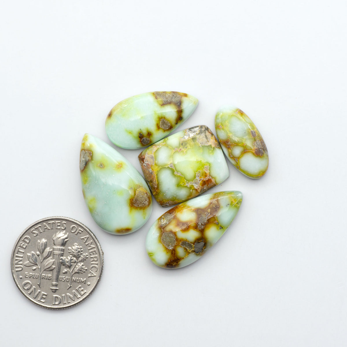 Palomino Variscite cabochons, polished yellow-green gemstones with natural matrix on a white background with a US dime for scale