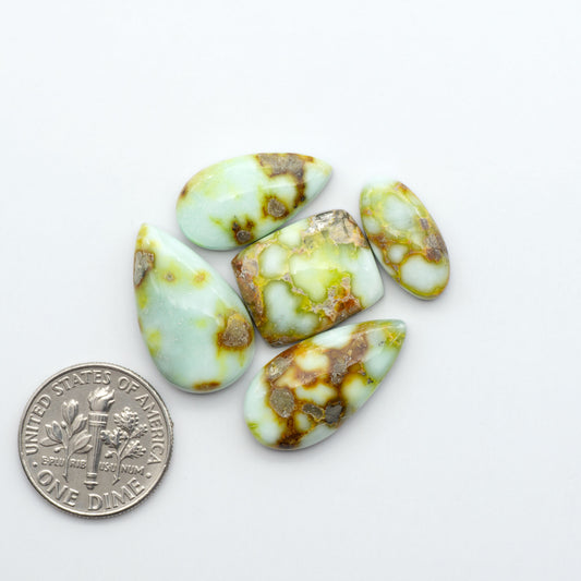Palomino Variscite cabochons, polished yellow-green gemstones with natural matrix on a white background with a US dime for scale