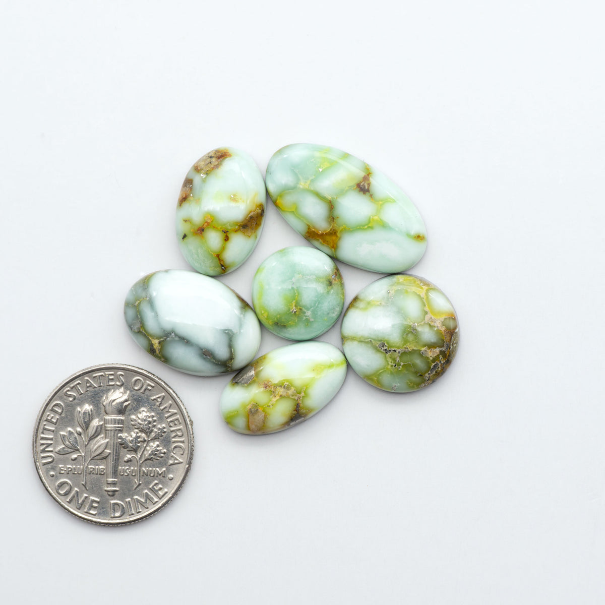 Palomino Variscite cabochons, polished yellow-green gemstones with natural matrix on a white background with a US dime for scale