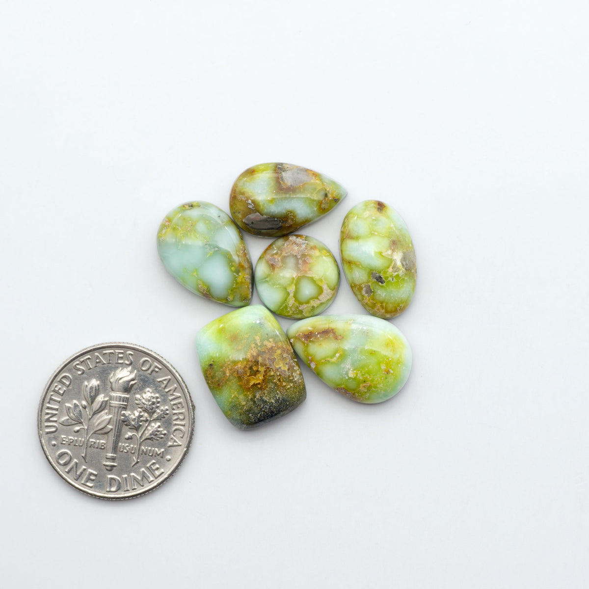 Palomino Variscite cabochons, polished yellow-green gemstones with natural matrix on a white background with a US dime for scale