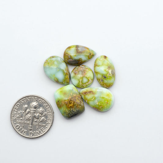 Palomino Variscite cabochons, polished yellow-green gemstones with natural matrix on a white background with a US dime for scale