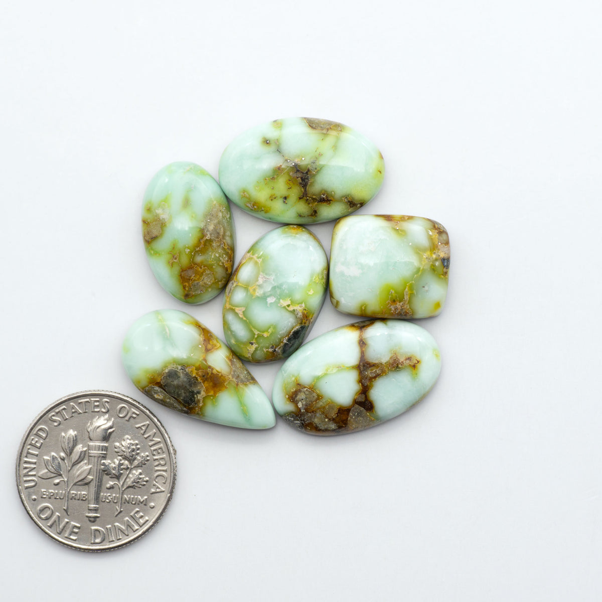 Palomino Variscite cabochons, polished yellow-green gemstones with natural matrix on a white background with a US dime for scale