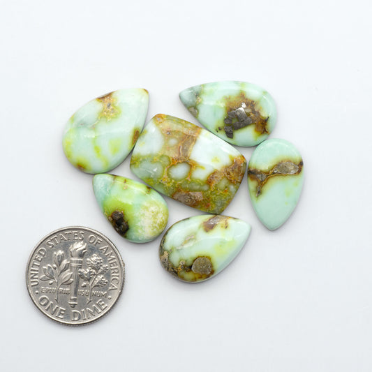 Palomino Variscite cabochons, polished yellow-green gemstones with natural matrix on a white background with a US dime for scale