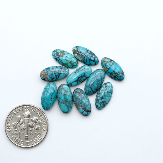 Hubei Cloud Mountain Turquoise cabochons, blue and green color with black matrix, polished stones on a white background, with a US dime for scale