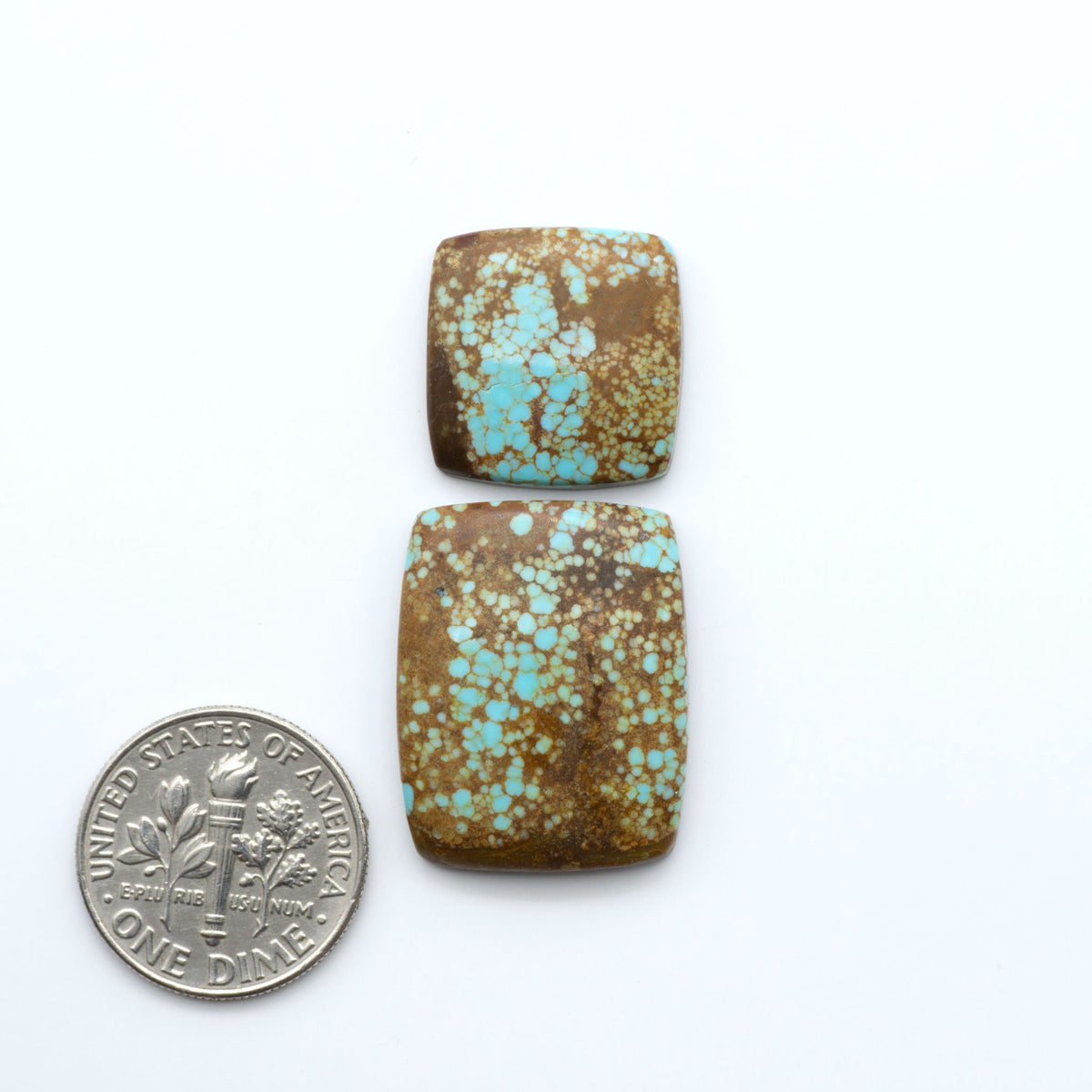 Number 8 Turquoise cabochons, blue and green color with brown matrix, polished stones on a white background, with a US dime for scale