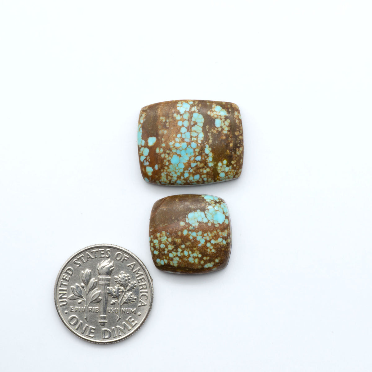Number 8 Turquoise cabochons, blue and green color with brown matrix, polished stones on a white background, with a US dime for scale