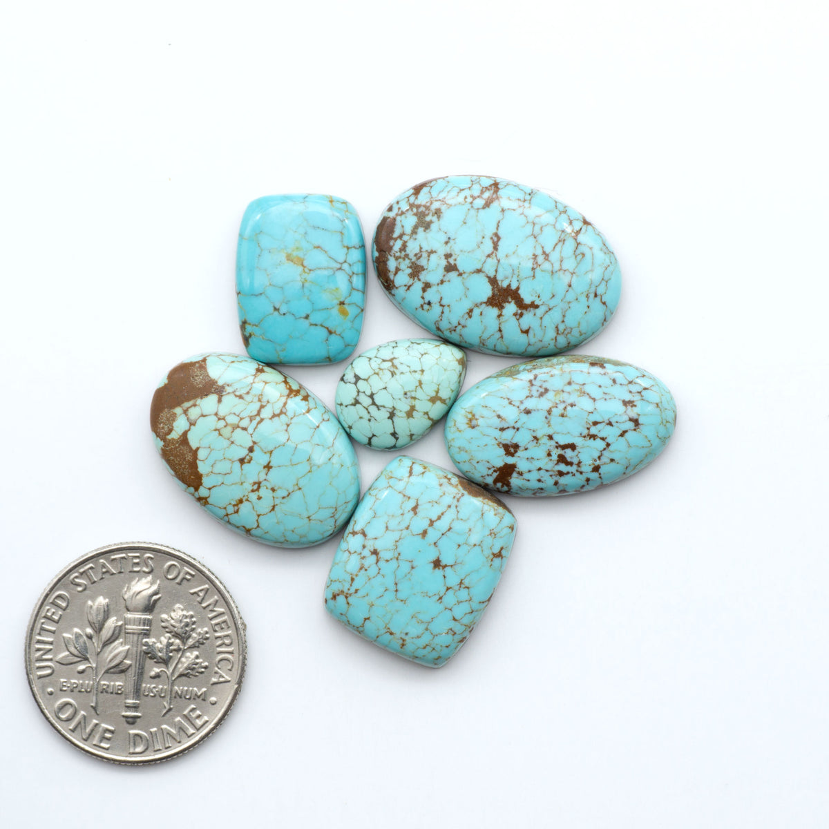 Number 8 Turquoise cabochons, blue and green color with brown matrix, polished stones on a white background, with a US dime for scale