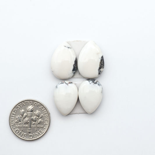 White Buffalo stone cabochons, white stone with black matrix, polished stones on a white background, with a US dime for scale