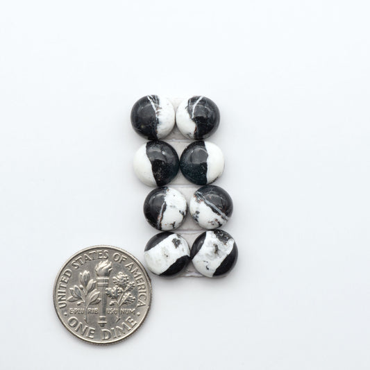 White Buffalo stone cabochons, white stone with black matrix, polished stones on a white background, with a US dime for scale