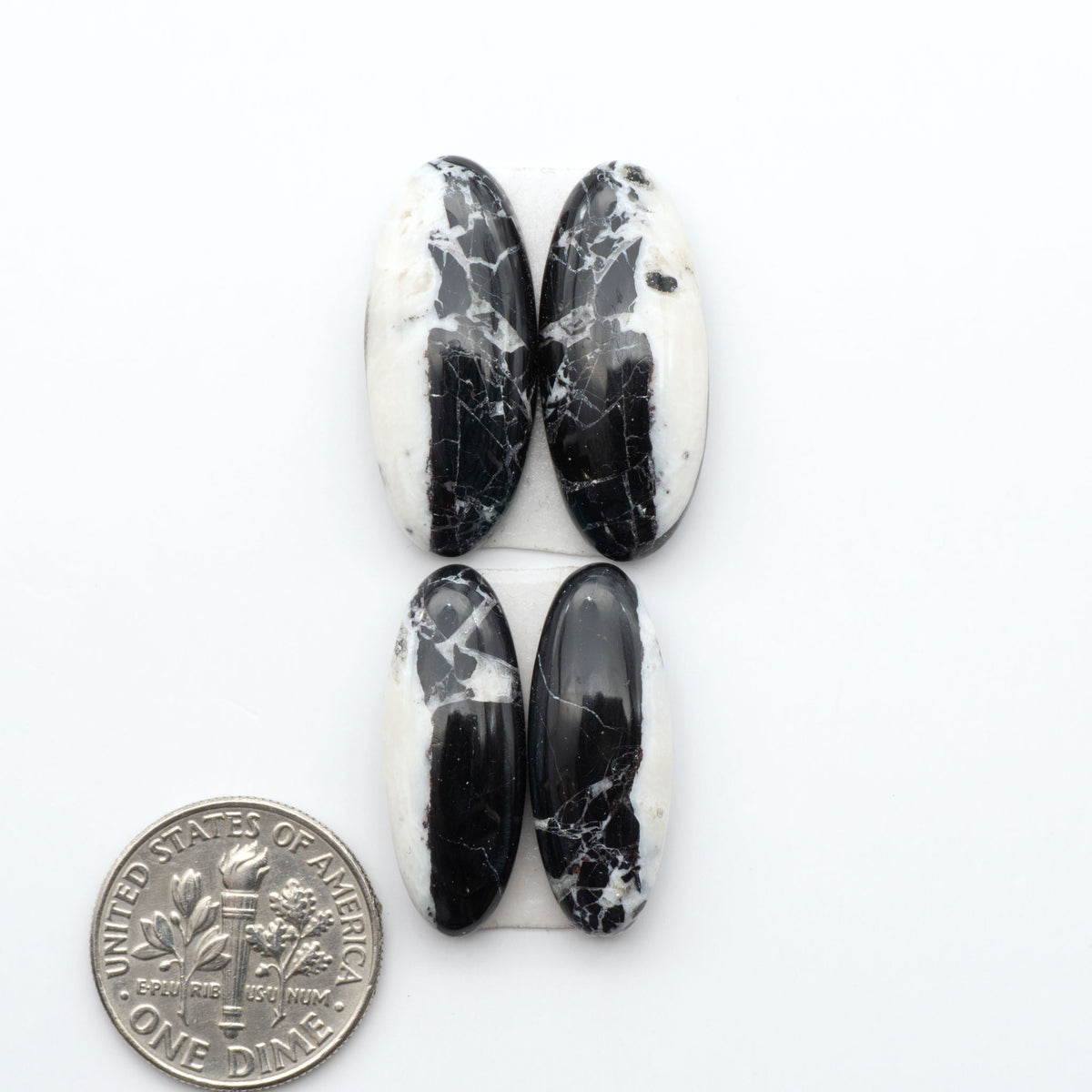 White Buffalo stone cabochons, white stone with black matrix, polished stones on a white background, with a US dime for scale