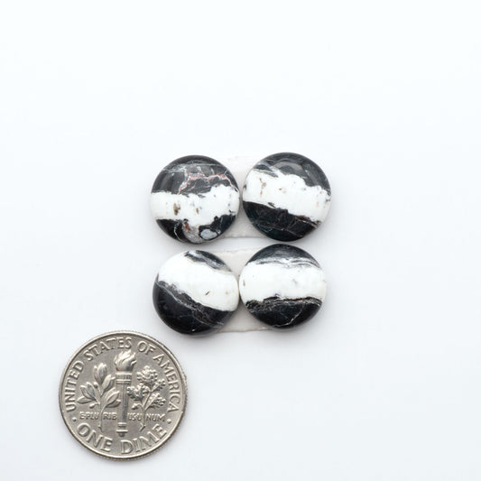 White Buffalo stone cabochons, white stone with black matrix, polished stones on a white background, with a US dime for scale