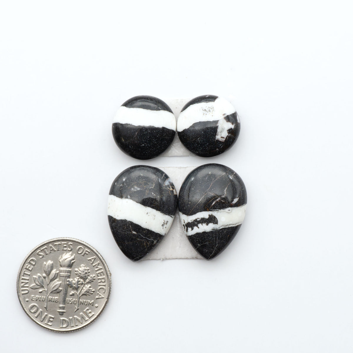 White Buffalo stone cabochons, white stone with black matrix, polished stones on a white background, with a US dime for scale