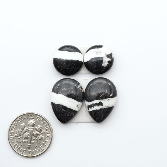 White Buffalo stone cabochons, white stone with black matrix, polished stones on a white background, with a US dime for scale