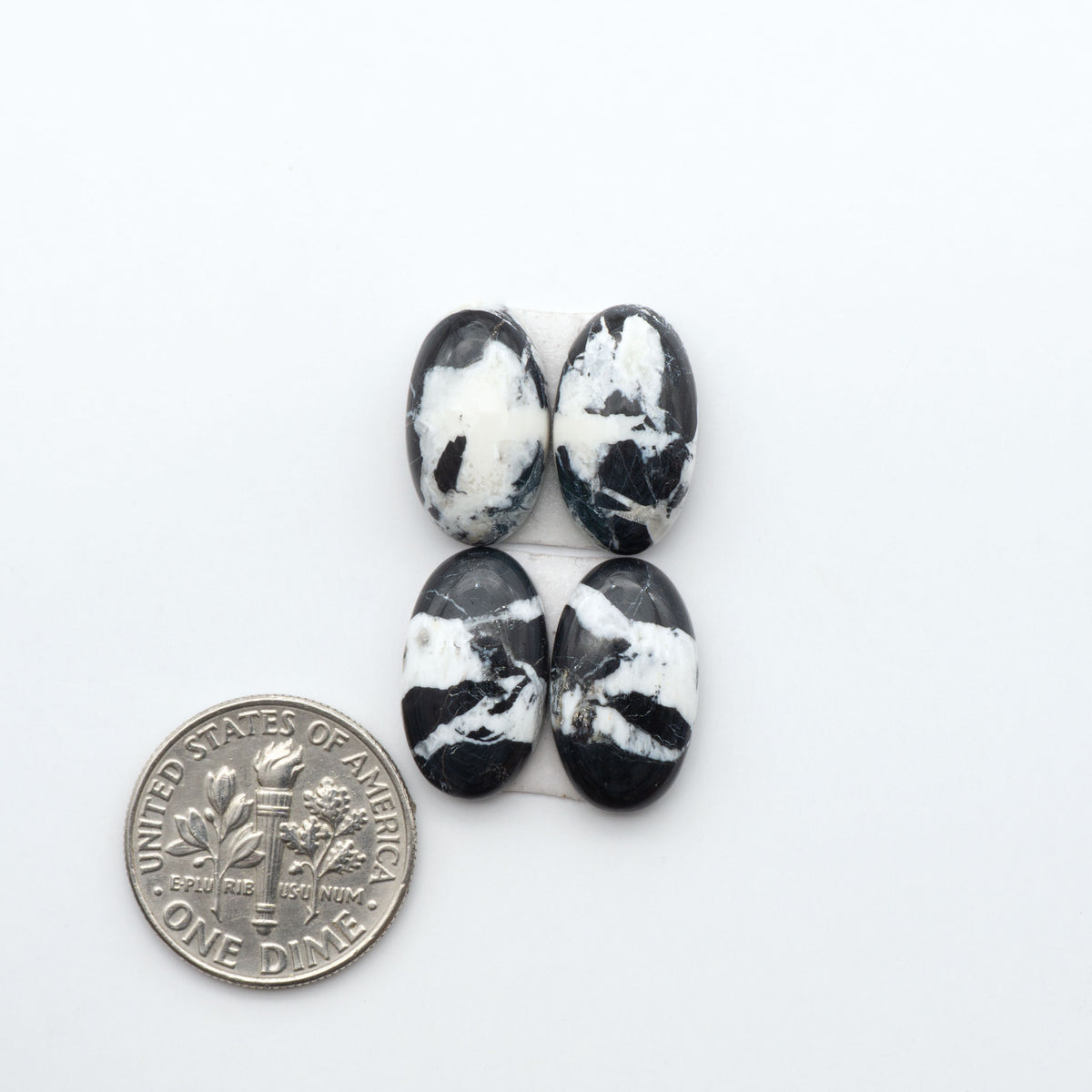 White Buffalo stone cabochons, white stone with black matrix, polished stones on a white background, with a US dime for scale