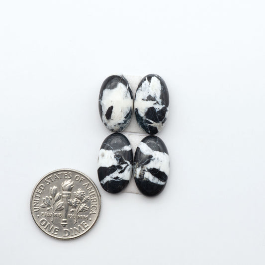 White Buffalo stone cabochons, white stone with black matrix, polished stones on a white background, with a US dime for scale