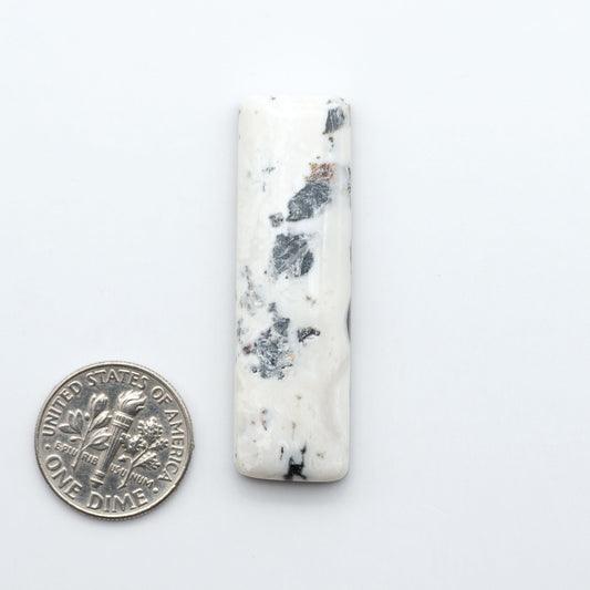White Buffalo stone cabochons, white stone with black matrix, polished stones on a white background, with a US dime for scale