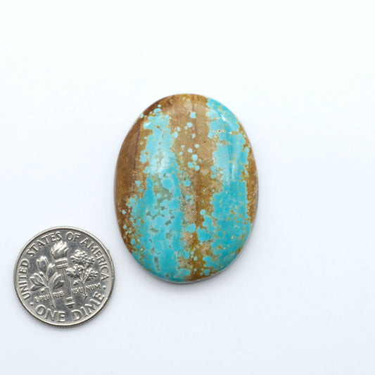 Number 8 Turquoise cabochons, blue and green color with brown matrix, polished stones on a white background, with a US dime for scale