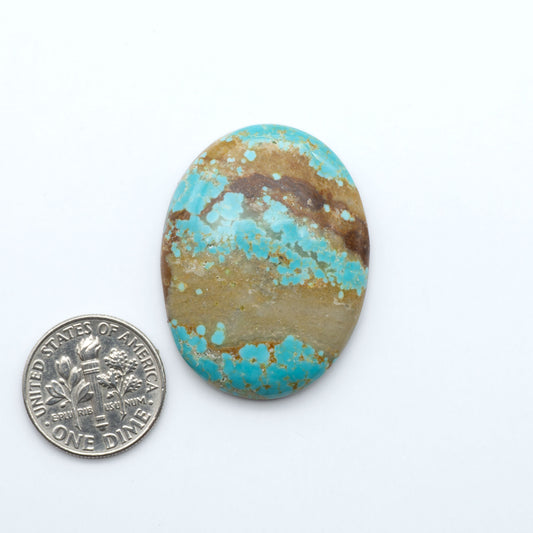 Number 8 Turquoise cabochons, blue and green color with brown matrix, polished stones on a white background, with a US dime for scale