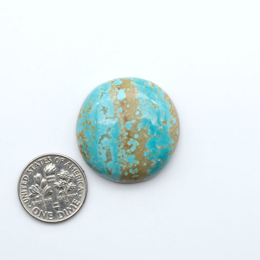 Number 8 Turquoise cabochons, blue and green color with brown matrix, polished stones on a white background, with a US dime for scale