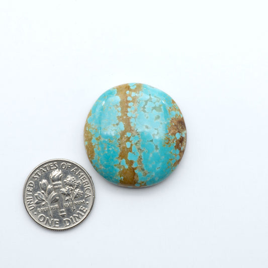 Number 8 Turquoise cabochons, blue and green color with brown matrix, polished stones on a white background, with a US dime for scale