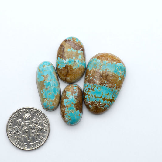 Number 8 Turquoise cabochons, blue and green color with brown matrix, polished stones on a white background, with a US dime for scale