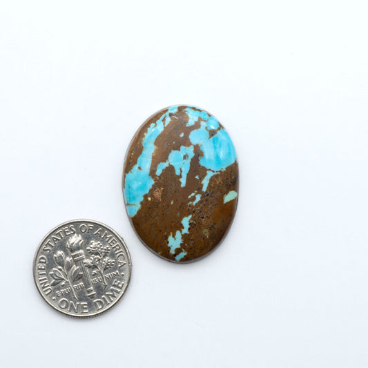 Number 8 Turquoise cabochons, blue and green color with brown matrix, polished stones on a white background, with a US dime for scale